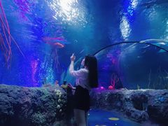 -沈阳海洋探索中心