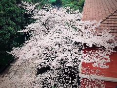 -浙江省杭州高级中学(贡院校区)