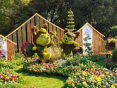 -上海共青森林公园