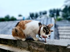 -后海16号·北京私房菜