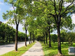 -复旦大学江湾校区食堂