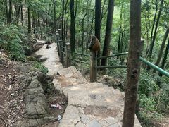 -黔灵山公园