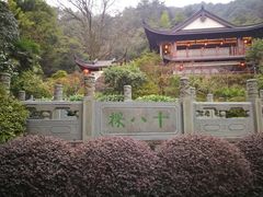 -龙井村