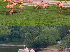 -哈尔滨北方森林动物园