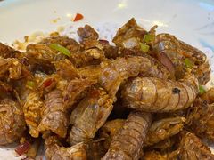 -渔家风味·鲅鱼水饺·央视展播·海鲜天津菜(开发区店)