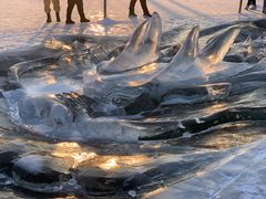 -长春市南湖公园