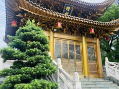 -上海东林寺(金山区)