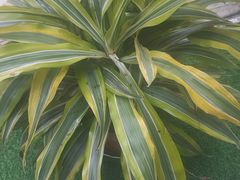 -中影国际影城(大唐西市4K临境音店)