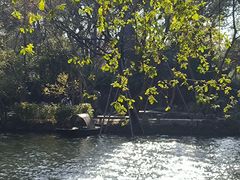 -绮园景区
