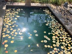 -郑州银基黄帝宫御温泉