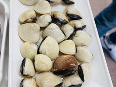 -冯姐生蚝(长隆横琴店)