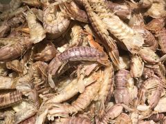 -星伦多自助料理·涮烤一体(虹悦城店)