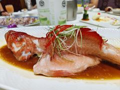 -金米箩大酒店(五角场店)
