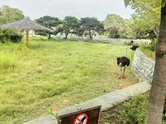 -沈阳森林动物园