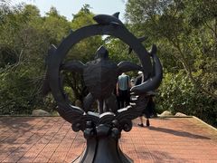 -广东惠东海龟国家级自然保护区
