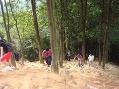 -火炉山森林公园