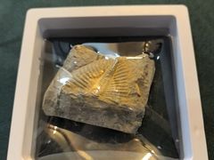 -房山世界地质公园博物馆