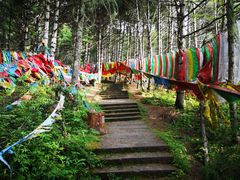 -康定跑马山风景区