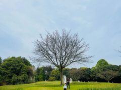 -保利石象湖景区