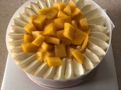 -维尔纳斯·生日蛋糕·动物奶油冰淇淋蛋糕(六里桥店)