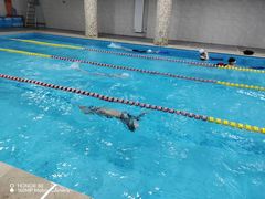 -万豪游泳俱乐部(总店)