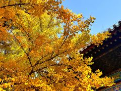 -红螺寺