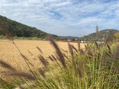 -南泥湾风景区
