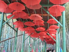 -陶祖圣境风景区