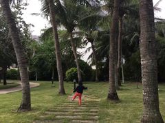 -三亚亚龙湾金棕榈度假酒店