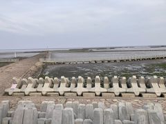 -南汇嘴观海公园