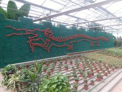 -万源龙顺度假庄园生态观光园