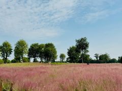 -汉长安城未央宫国家考古遗址公园