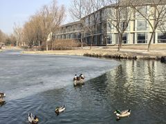 -稻香湖景欢乐岛温泉城堡