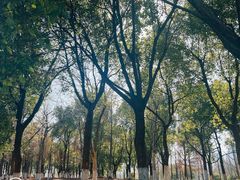 -绍兴东湖风景区