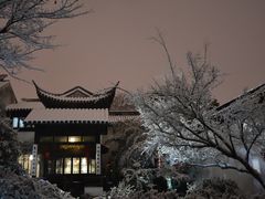 -王德传茶庄(苏州探花府店)