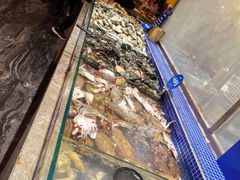 -丰卓会海鲜自助(中润大道店)
