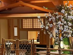 -北方暖暖温泉洗浴(沈阳北站店)