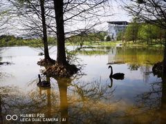-浙江农林大学(东湖校区)