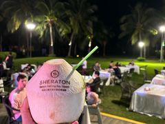 -三亚海棠湾喜来登度假酒店