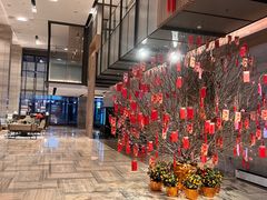 -深圳湾万怡酒店