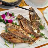 吃潮菜还是得来这种老字号!!