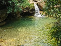 -南海湾森林生态园