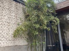 -zarah(鼓楼店)