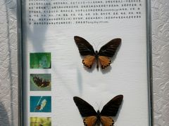 -宁德师范学院医学院(蕉城校区)
