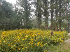 -玉渡山自然风景区