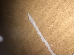 -北京希尔顿逸林酒店