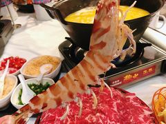 -鲜入围煮花胶鸡海鲜火锅