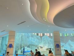 -帝企鹅自助餐厅•儿童岛•真企鹅(长隆企鹅酒店)