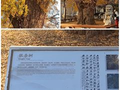-北京石刻艺术博物馆(五塔寺)