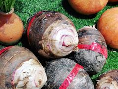 -老阿爸江浙土菜(奥体中心店)